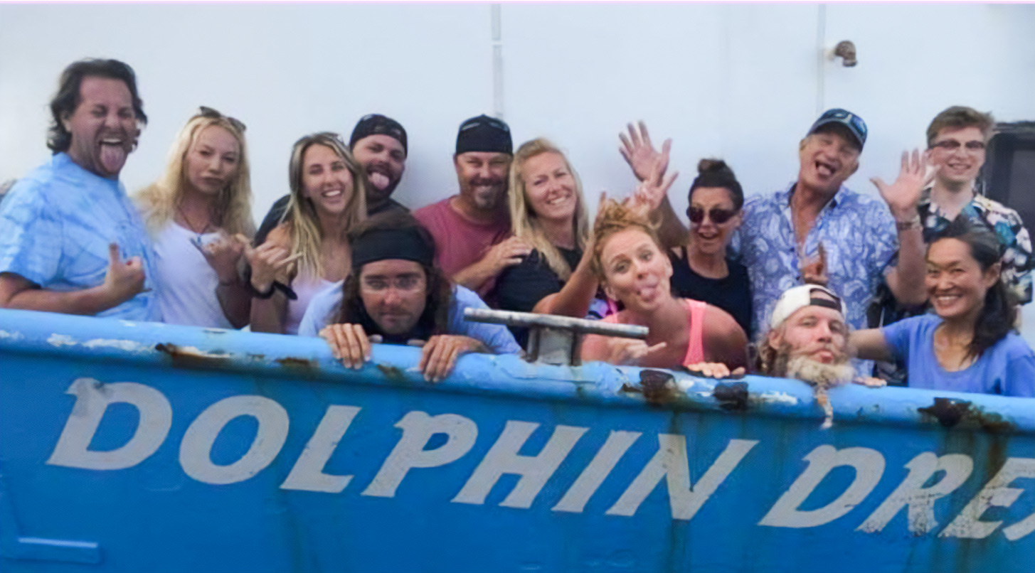 dolphin dream guests