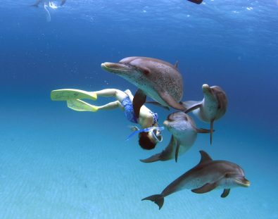 best-snorkeling-in-the-world